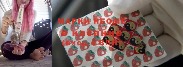 дурь Пересвет
