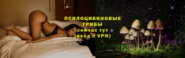 дурь Пересвет