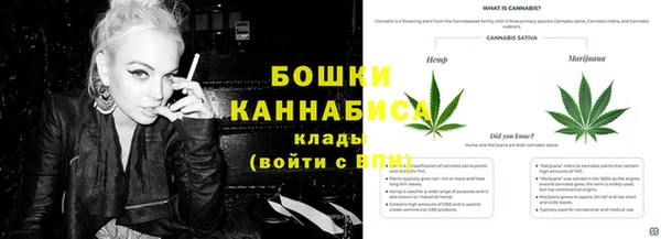ГАЛЛЮЦИНОГЕННЫЕ ГРИБЫ Осинники