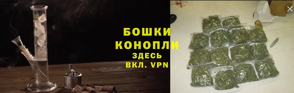 дурь Пересвет
