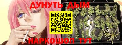 a pvp Абакан