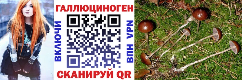 где купить наркоту  гидра маркетплейс  Галлюциногенные грибы мухоморы  Полысаево 