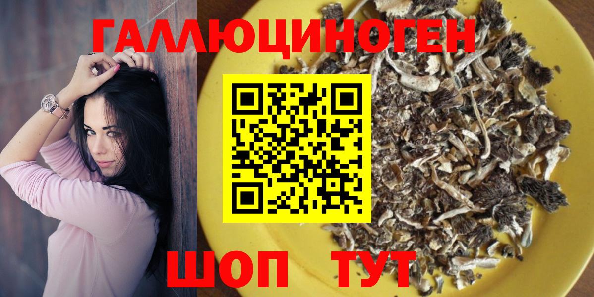 Псилоцибиновые грибы мицелий Полысаево