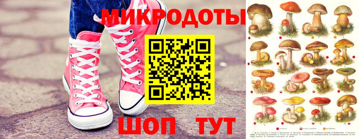 купить наркоту  Полысаево  Псилоцибиновые грибы Psilocybine cubensis 