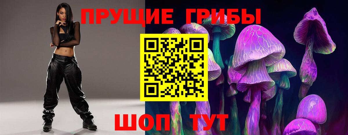 Галлюциногенные грибы Psilocybe Полысаево